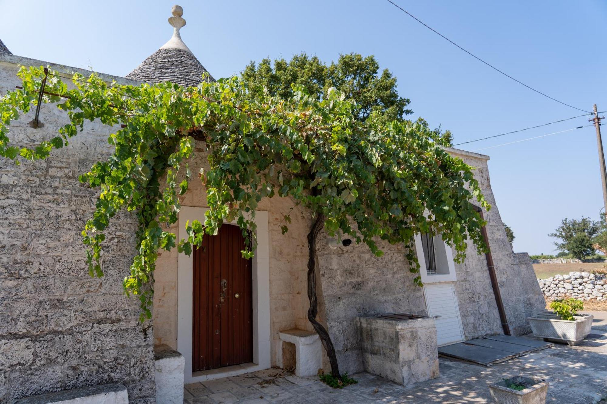 Trullo Vacanze Di Cumma Rosa アルベロベッロ エクステリア 写真